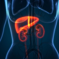 Hepatology